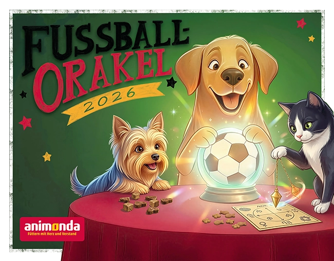 animonda Fußball-Orakel 2026